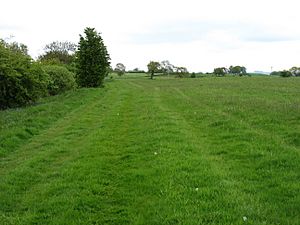 The Hadrian's Wall Path approaching Newtown - geograph.org.uk - 3502884