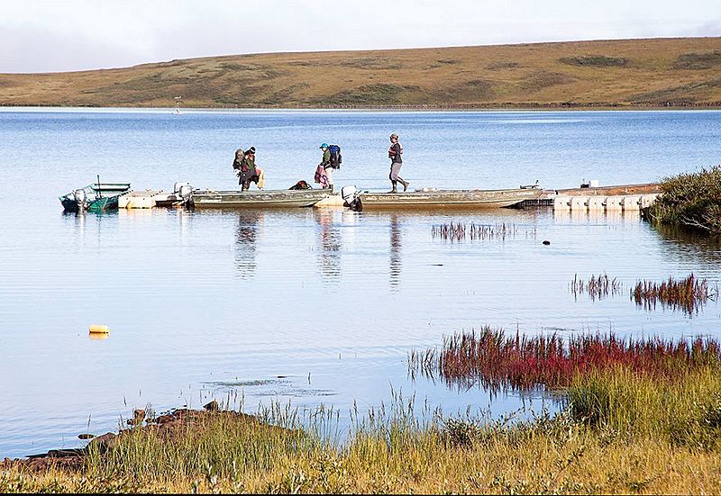Toolik Lake Research Natural Area-Area of Critical Concern, Alaska (15687819866)