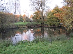 Totteridge Green, Laurel Farm Pond