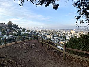 View of San Francisco from Billy Goat Hill