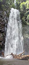 Waterfall São Tomé Island I