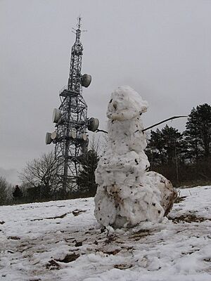 Wenallt communications tower - geograph.org.uk - 1153046