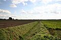 West Common Drain - geograph.org.uk - 253198
