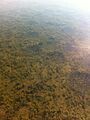 West Loon Lake 2