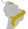 White-naped xenopsaris map