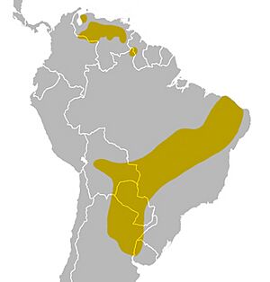 White-naped xenopsaris map.jpg