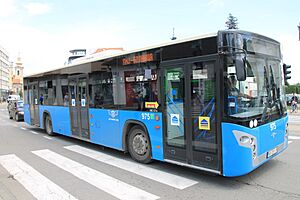 Wiki.Vojvodina III Transport in Novi Sad 360
