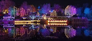 Winter Lights