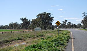 Womboota Town Entry Sign