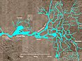 Wpdms usgs photo sacramento delta 2