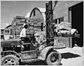 "M. D. Shore, S1-c, operating a forklift truck at the Navy supply depot at Guam, Marianas.", 06-08-1945 - NARA - 520685