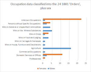 1881 occupation