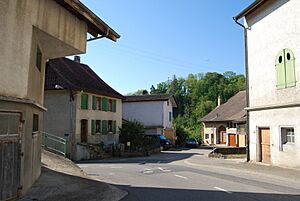 2014-05-18-Yverdon (Foto Dietrich Michael Weidmann) 021