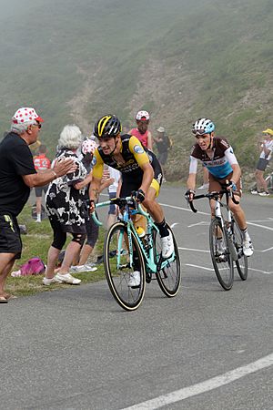 2018 Tour de France -19 Col d'Aubisque (29846606808)