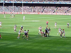 A vision of play during the 2007 AFL Grand Final
