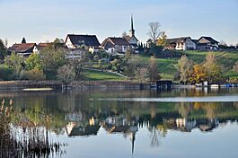 Aabach - Robenhausen - Pfäffikersee - Seegräben 2014-10-31 15-34-16.JPG