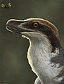 Acheroraptor reconstruction