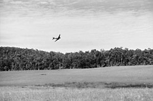 Aerial supply drop at Myola in 1942 (AWM image P02424.071)