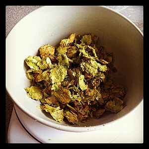 Amarillo hops
