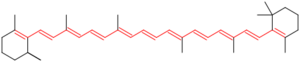 Beta-Carotene conjugation