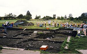 Birka Svarta jorden 1991