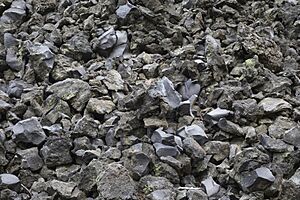 Block lava in Lassen Volcanic National Park