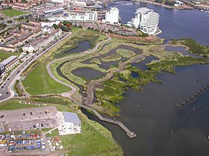 Cardiff Wetlands Aerial View