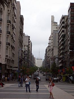 A view of downtown Montevideo
