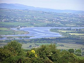 Close-up of the Foyle River - geograph.org.uk - 192963.jpg
