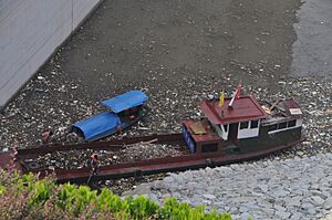 Collecting Garbage at Three Gorges Dam