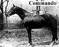 CommandoHorse