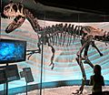 Creation Museum Allosaurus skeleton