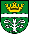 Coat of arms of Mayen-Koblenz