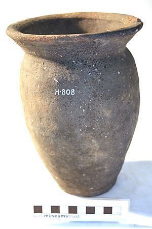 Dales-type ware Jar YORYM H808