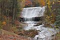 Davis Run and the Pumping Station Dam