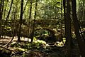 DevilsHopyardSP Bridge1605DownstreamSide