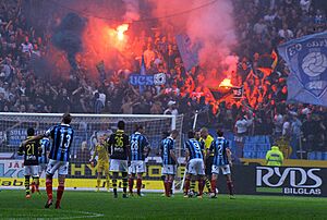 Djurgårdens IF Fans