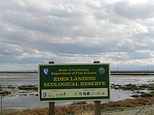 Eden Landing Ecological Reserve San Francisco Bay Area