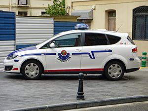 Ertzaintza autoa 001