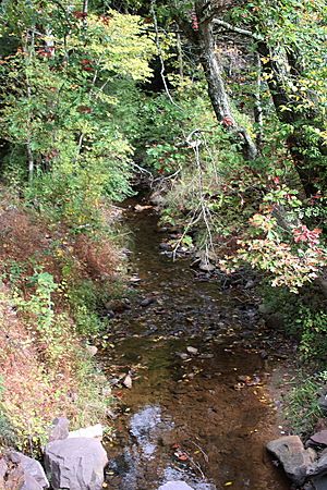 Fisher Run looking downstream