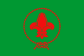 Flag of Vietnamese Scout Association