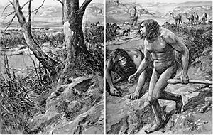 Forestier Nebraska Man 1922