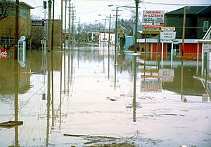 Fort Wayne flood 1982