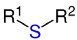 FunktionelleGruppen Thioether