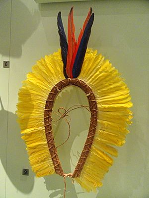 Headdress worn in ceremonies by boys and men, Kayapo culture, Porori, Xingu National Park, Mato Grosso, Brazil, c. 1966 - Royal Ontario Museum - DSC09546