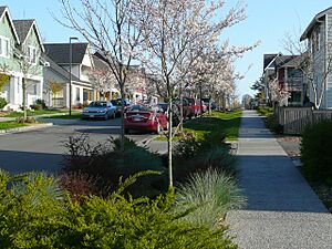 High Point Seattle 03