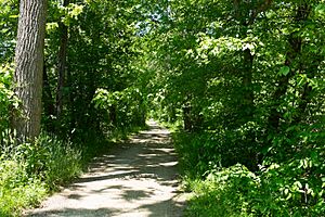 House Falls or Long Canal reused for Chesapeake and Ohio Canal