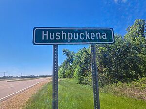 HushpuckenaMSHighwaySign2.jpg