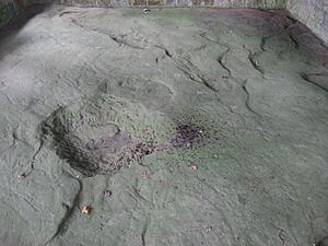 Leo Petroglyph, comprehensive from north