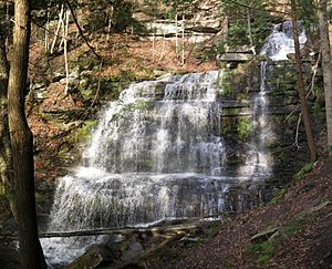 Leonard Harrison State Park Turkey Path Waterfall 3